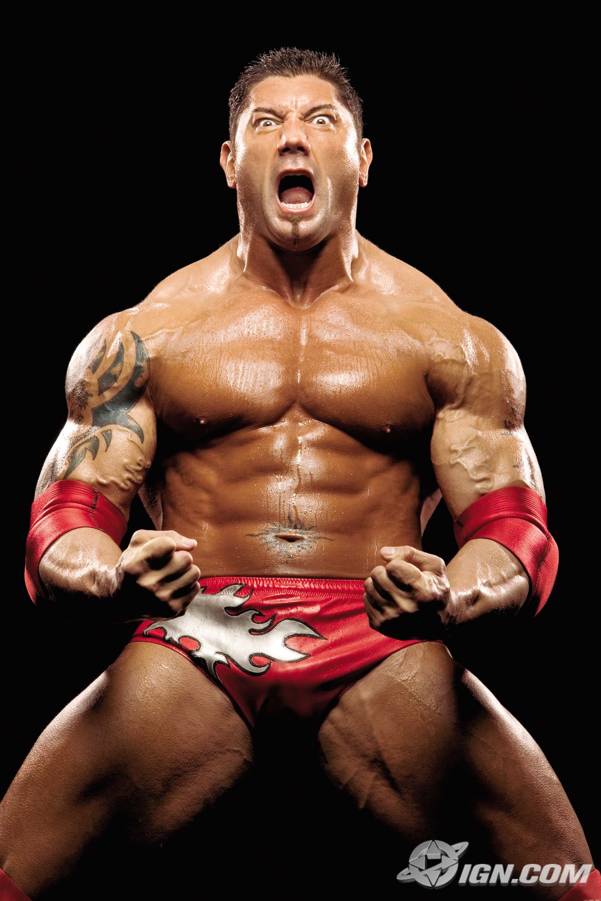 UNDERTAKER VS BAPTISTA undertaker vs baptista: